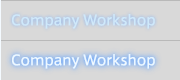 Company Workshop