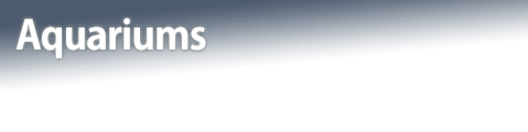 Aquariums