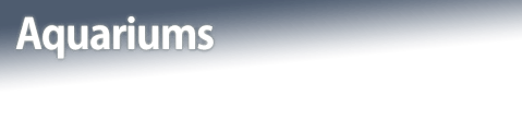 Aquariums